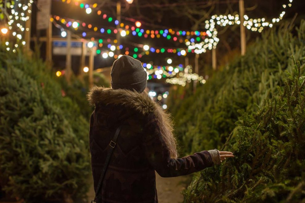 Art Knapp Surrey: Christmas Trees, Décor, & Gifts